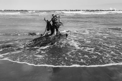 View of people at sea shore against sky