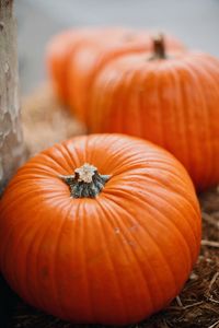 Close-up of orange pumpkin