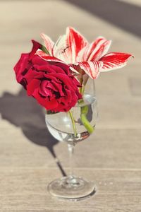 Close-up of flower in glass on table