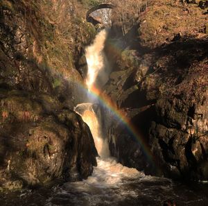 Scenic view of waterfall along trees