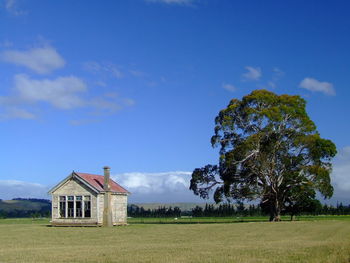 House on field against sky. abandoned house next to a great tree in open land in new zealand. 