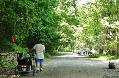 Rear view of people walking on road