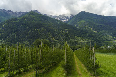 Scenic view of land and mountains against sky