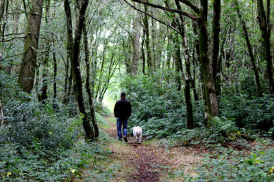 Rear view of man with dog walking in forest