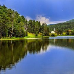 Reflection of trees in calm lake