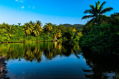 Scenic view of lake against clear blue sky