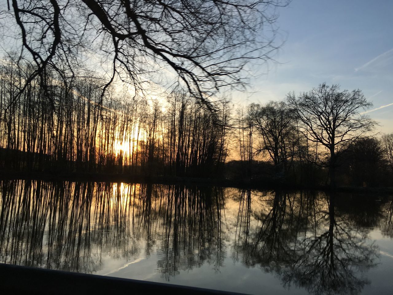 reflection, sunset, tree, nature, water, sky, tranquility, lake, beauty in nature, tranquil scene, scenics, outdoors, no people, idyllic, day