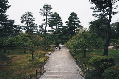 Mid distance of person walking on footpath amidst trees