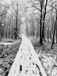 Scenic view of snow covered land