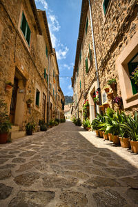 Footpath amidst buildings against sky