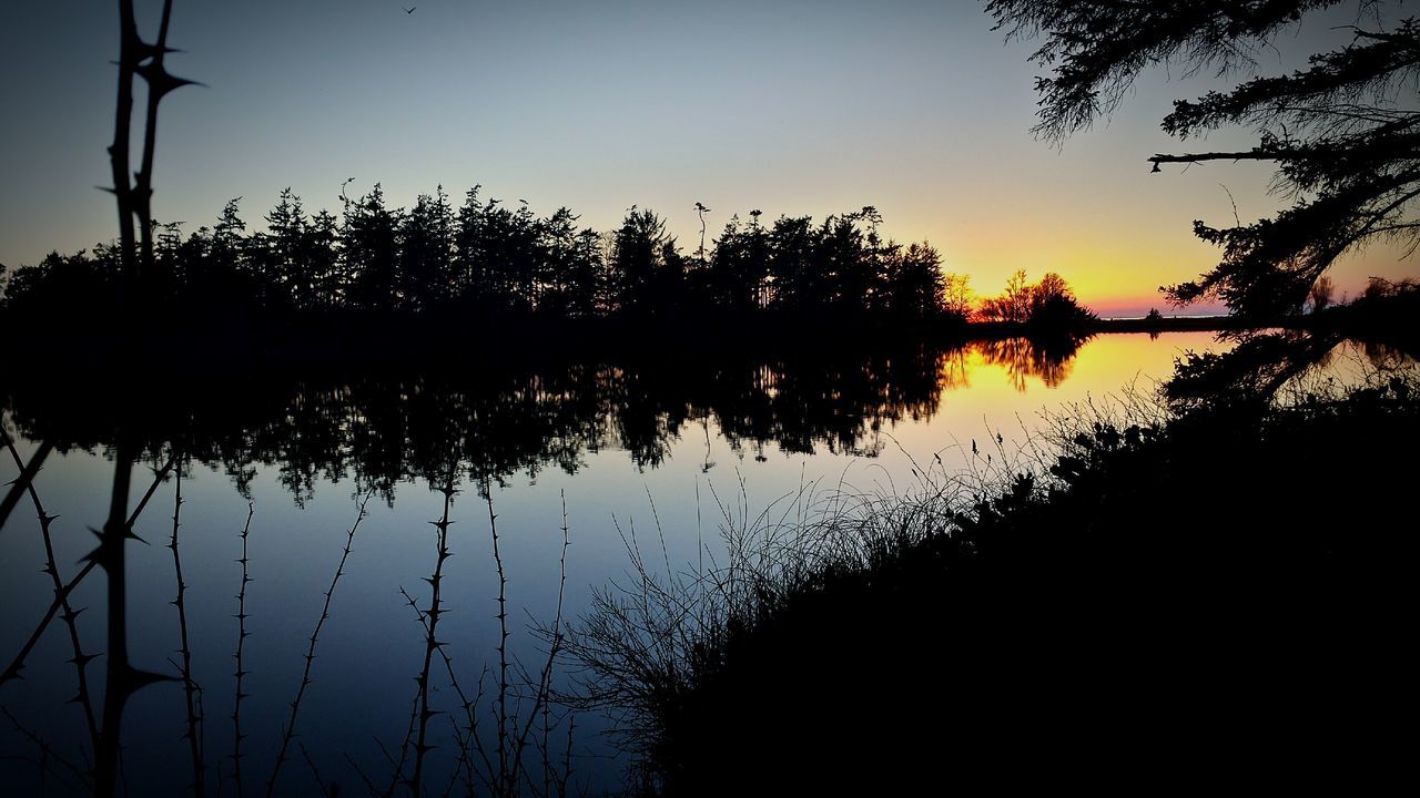 water, silhouette, reflection, lake, tranquility, sunset, tranquil scene, clear sky, tree, scenics, nature, beauty in nature, standing water, sky, calm, growth, dusk, plant, idyllic, outdoors