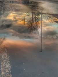 Reflection of tree in puddle against sky