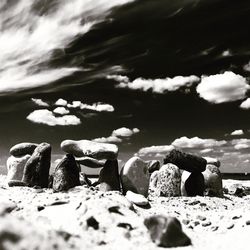 Close-up of beach against sky