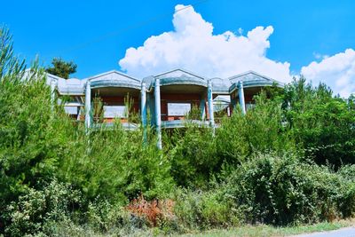 Plants growing on abandoned building against sky