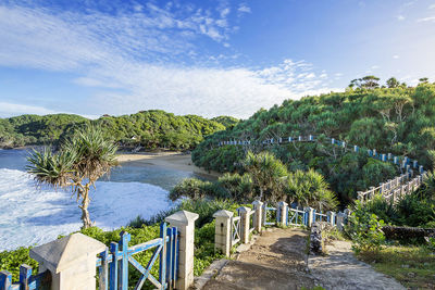 Plants by trees against sky. walking path at kukup beach, gunung kidul, yogyakarta