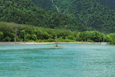 Man swimming in sea