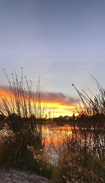 Grass by lake against sky during sunset