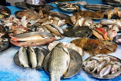 Close-up of fish for sale in market