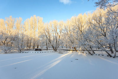 winter