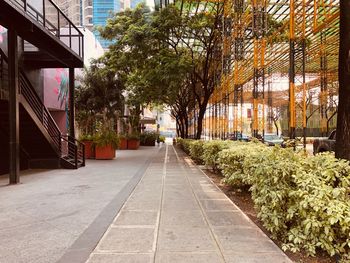 Sidewalk amidst trees and buildings in city