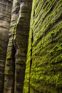 Low angle view of rock