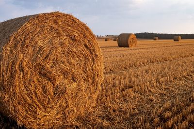 Hay bales on field against sky