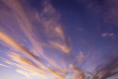 Low angle view of wheat field against sky during sunset