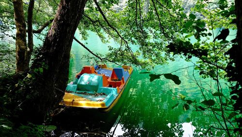 Boats moored on tree by boat