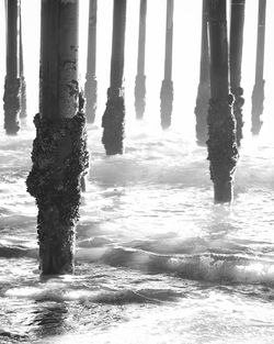 Waves in sea