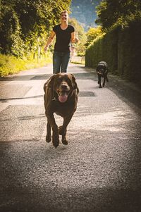 Portrait of man with dog on road