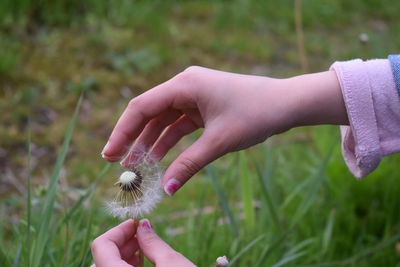 Close-up of hand holding finger on plant