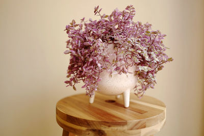 Close-up of pink flowering plant in vase