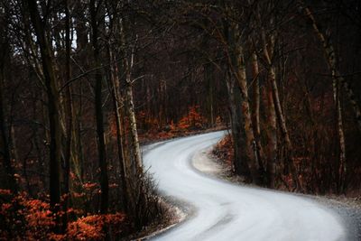 Road amidst trees in forest during winter