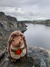 Close-up of turtle on rock against sky