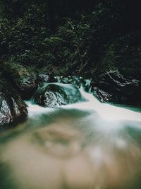 Scenic view of waterfall in forest