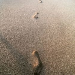 High angle view of footprints on wet sand