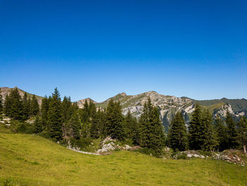 Scenic view of landscape against clear blue sky