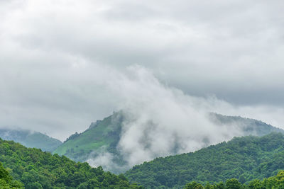 Clouds float on top of a green mountain in the morning