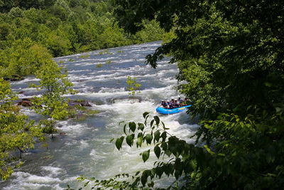 High angle view of river amidst trees