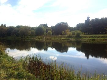 Reflection of trees in lake