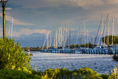 Sailboats moored in sea against sky