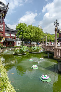 I went to discover yuyuan garden. je suis parti découvrir le jardin yu. 