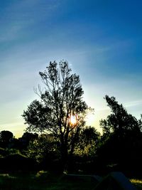 Silhouette trees on field against sky at sunset