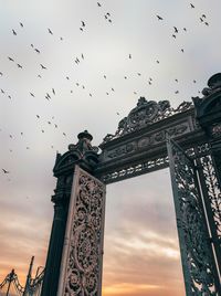 Low angle view of birds flying against sky