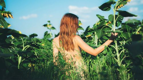 Rear view of woman standing amidst plants