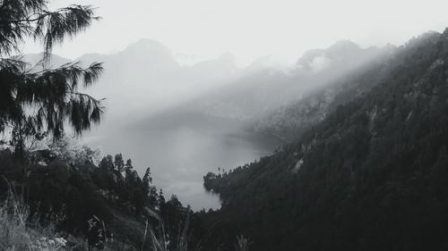 Panoramic shot of trees and mountains against sky