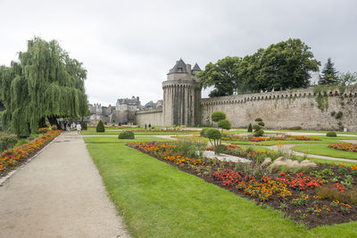 View of flowering plants in garden against cloudy sky