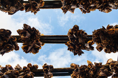 Low angle view of decorations hanging against sky