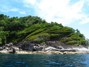 Scenic view of river with trees in background
