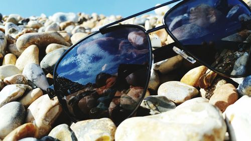 Close-up of crab on beach